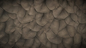 Fond motifs feuilles